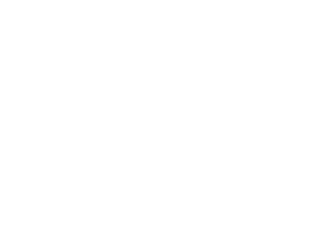 ByteForce